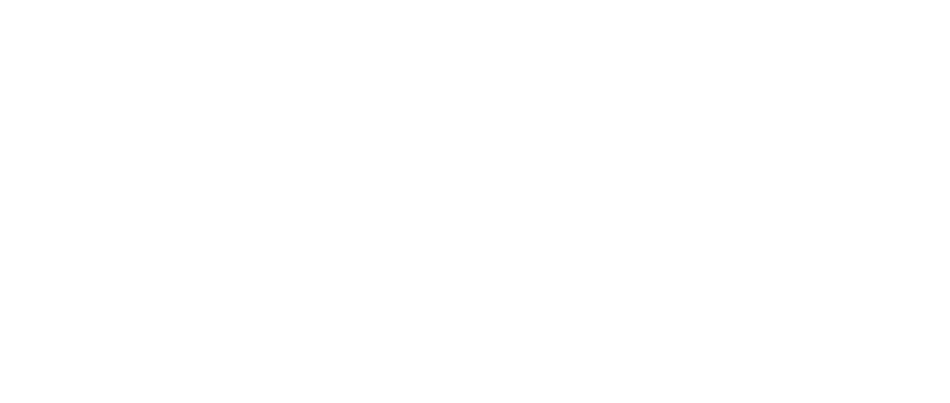 logo-est-cheminee-mundolsheim-blanc